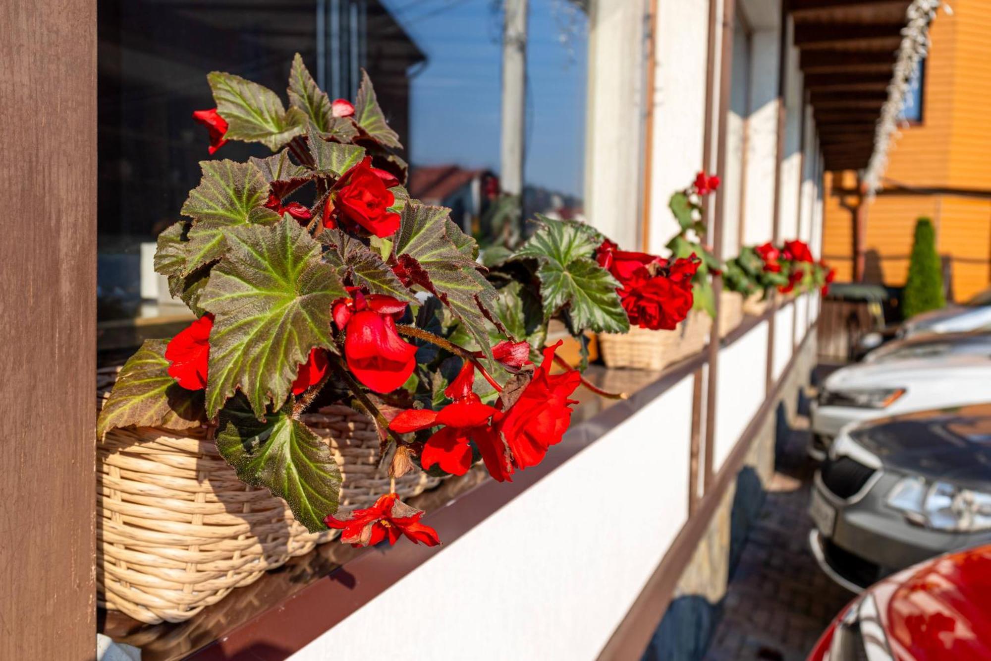 La Кrechunu Hotel Boekovel Buitenkant foto